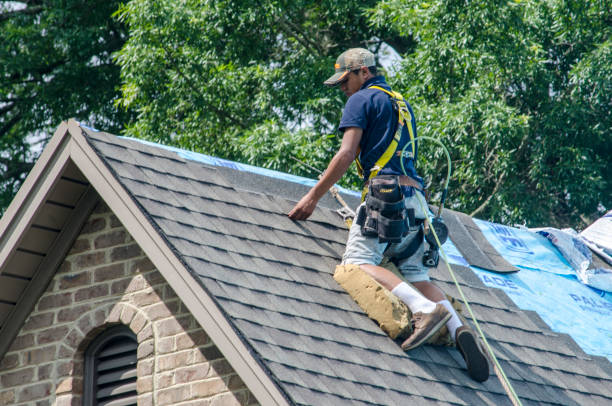Best Roof Gutter Cleaning  in Hemby Bridge, NC